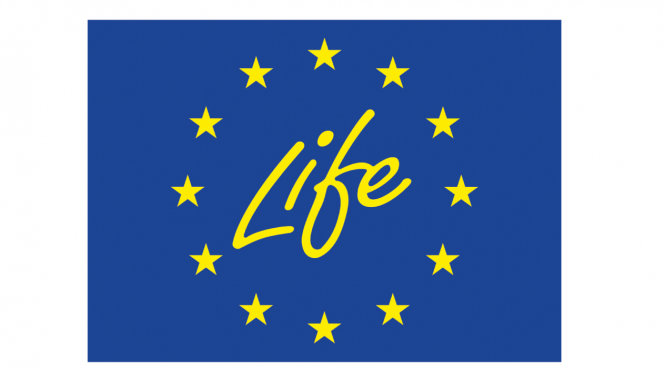 Programmas Life logo